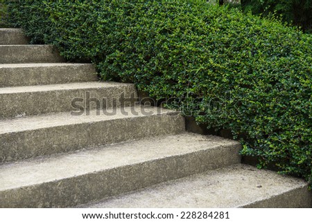 Beautiful outdoor steps, simple style