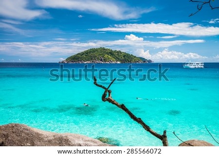 Snorkeling in green ocean similan island beach -  Thailand