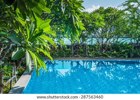 Outdoor swimming pool in garden