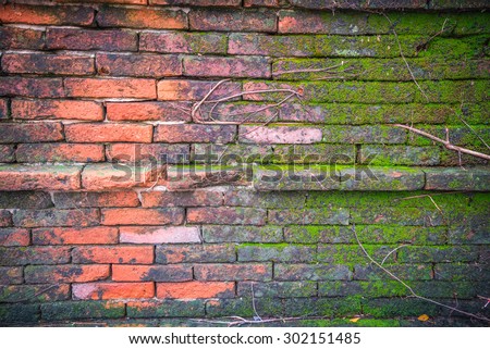 Red old concrete brick wall with green moss and root texture background