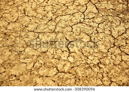 Drought land. Pattern of dry ground earth.
