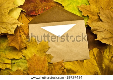 Envelope with the letter on autumn foliage