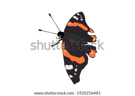 Butterfly on a white background Vanessa atalanta, vector illustration