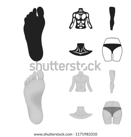 Torso, leg, neck and buttocks. Body parts set collection icons in black,monochrome style vector symbol stock illustration web.