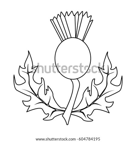 Thistles with green leaves.Medicinal plant of Scotland.Scotland single icon in outline style vector symbol stock illustration.