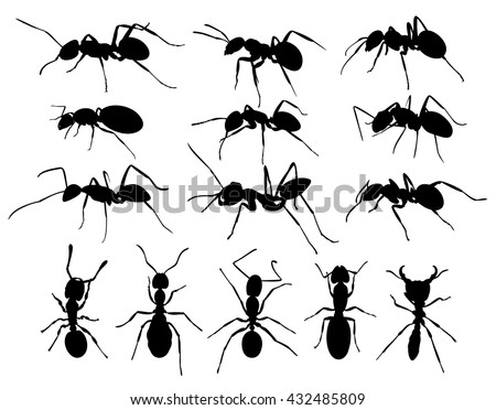 Silhouettes of ants. 