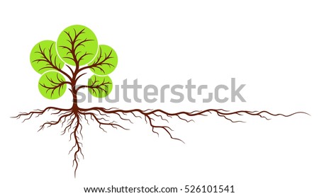 Tree With Roots. Stock Vector Illustration 526101541 : Shutterstock