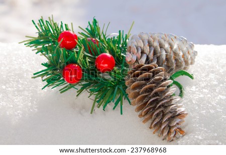 Christmas branch and pine cones on the snow