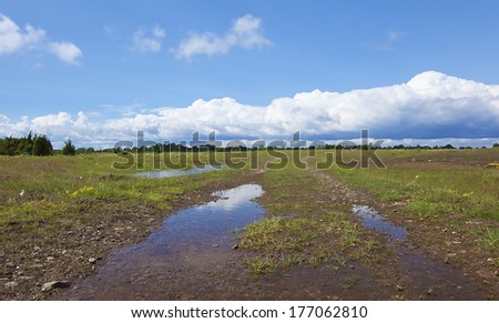 Alvaret after a heavy rain, important habitat for many endangered animals and flowers