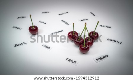 on a white background a Latin American scheme built with Chilean cherries 商業照片 © 