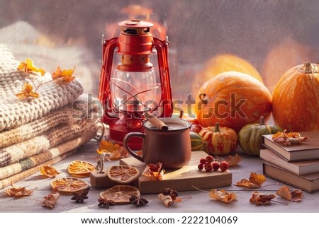 Similar – Image, Stock Photo Autumn mood | A leaf stands out in the warm sunlight