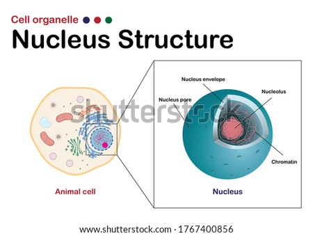 Shutterstock Puzzlepix