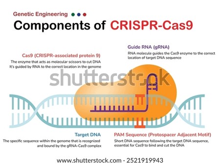 Diagram of CRISPR-Cas9 Genetic Engineering Components, including Cas9, guide RNA, target DNA, and PAM sequence