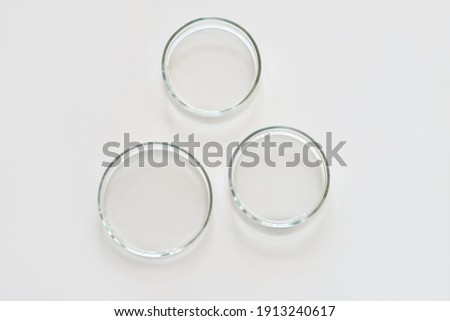 three empty glass Petri dishes on a laboratory table. sterile lab dishes ready for tests. analysis and chemical experiment. cell culture growing equipment. top view.