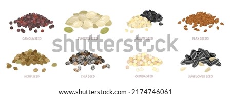 Seed pile set. Flax seed, sesame, chia, pumpkin seeds, canola, sunflower, quinoa, hemp seed. Vector simple illustration isolated on white. Icon in flat style.