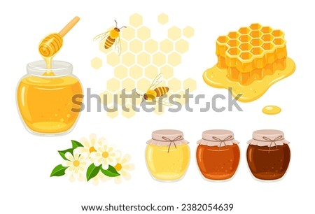 Honey set. Bees, honeycomb, flowers, honey in glass jar and dripping honey from wooden dipper. Vector cartoon flat illustration.
