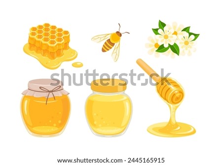 Honey jar, Bee, flowers, honeycomb and dripping honey from wooden dipper. Set of vector cartoon flat illustrations.