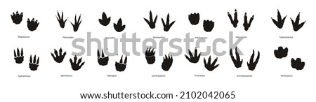 Dinosaur footprint set in black color.
Stegosaurus, tyrannosaurus rex, iguanodon, utahraptor, pteranodon Photo stock © 