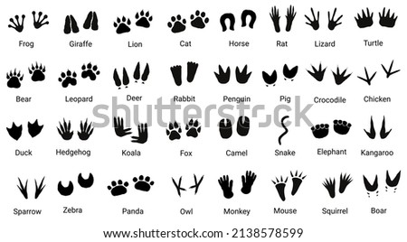 Big set with animals footprint in black color. Paw trace in different shape