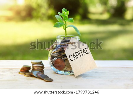 Capital. Glass jar with coins and a plant in it, with a label on the jar and a few coins on a wooden table, natural background. Finance and investment concept. High quality photo Foto d'archivio © 
