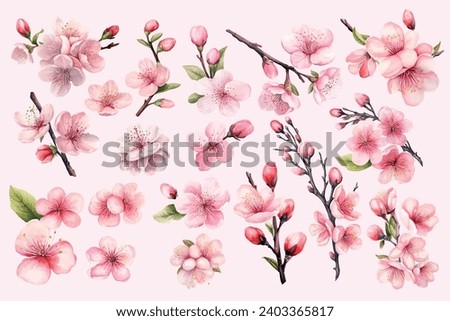 Watercolor cherry blossom flower blooming collection set . Pink sakura flower background. Cherry blossom branch with sakura flower. vector illustration.