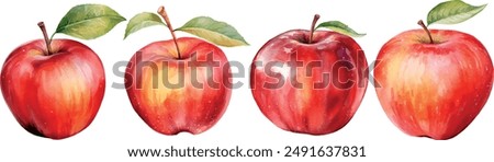 fresh watercolor apples fruit set collection vector illustration design