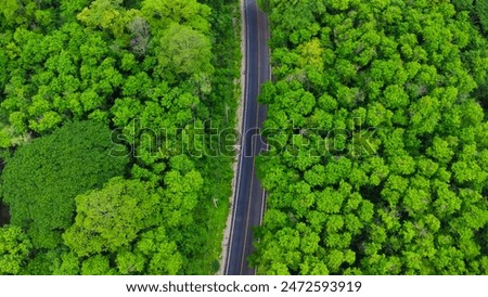 Similar – Image, Stock Photo Winding asphalt road through forest