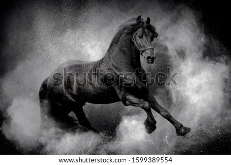 Image, Stock Photo Horse in a dream world