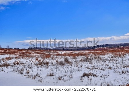 Similar – Image, Stock Photo big snow covered meadow in front of a forest in the Rhön