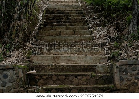 Similar – Image, Stock Photo Crime scene | Staircase from a long time ago