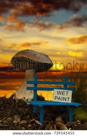 Small bench with wet paint and giant mushroom at sunset Zdjęcia stock © 