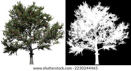 Similar – Image, Stock Photo Apple tree in front of blue sky