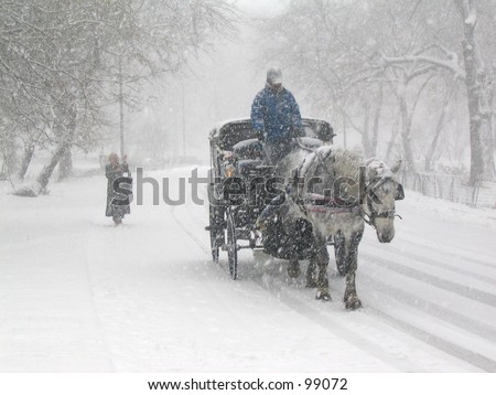 Snow in Central Park, New York\
\
carriage in snow