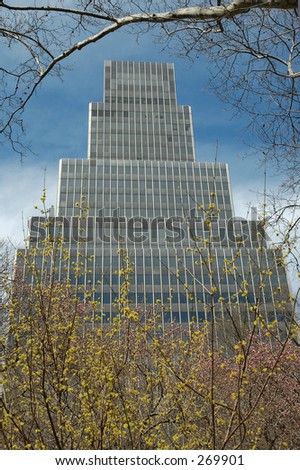Business building with spring trees on foreground