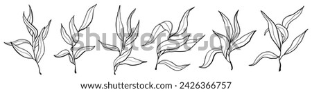 Vector hand drawn nature olive branches icons set. Doodle plants illustration isolated on white background. 