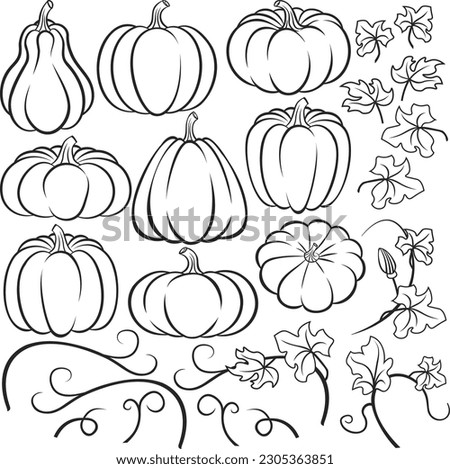 Pumpkin Vines Clipart | Free download on ClipArtMag