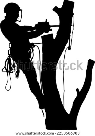 Tree Surgeon sawing a tree