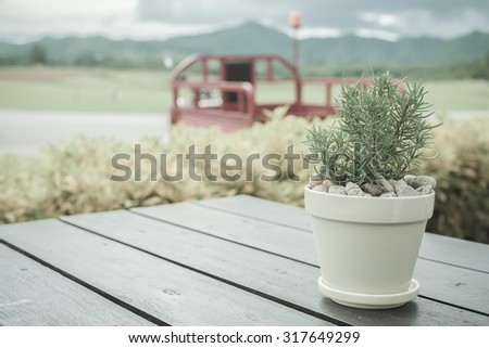Decorative flowerpot in the rainy season at Homestead.Closeup vintage photography including vignetting effect