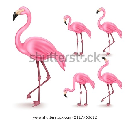 Flamingo vector set design. 3d flamingos in standing and walking gesture isolated in white background for summer and tropical wildlife animal collection. Vector illustration.
