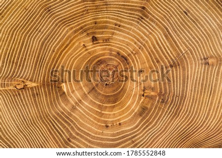 Similar – Image, Stock Photo Old segments Wood Pattern