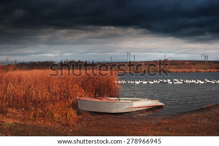 Rural landscape with boat and birds. Boat on river and flock of geese floating on water. Dramatic sky before rain