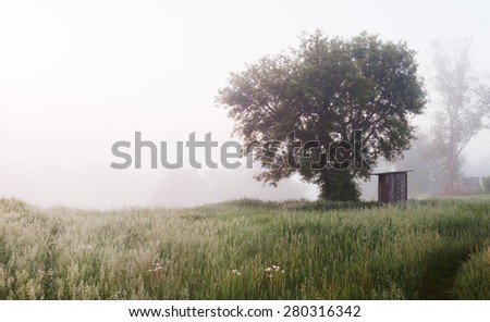 Spring rural landscape. Tree and rustic toilet in fog on hill. Ghostly, mystical mood. Panorama
