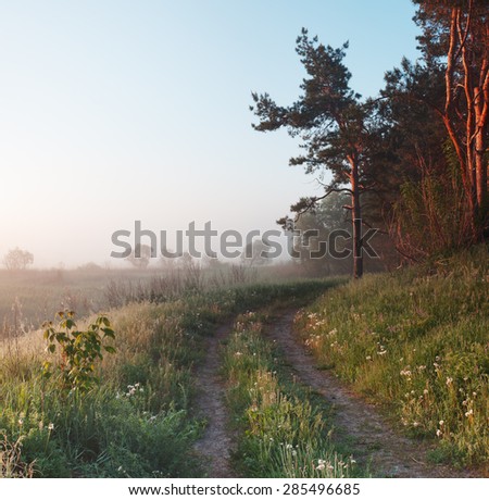 Spring landscape with pine tree. Village road and meadow in mist at dawn. Beautiful sunny dawn