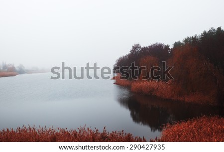Autumn landscape with river. Trees on banks of river and reeds in heavy fog. Melancholy, loneliness. Panorama