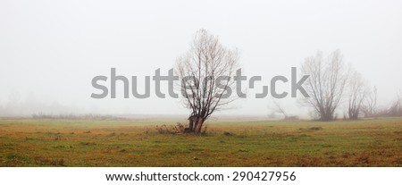 Spring landscape with lonely tree. Meadow with green grass in morning fog. Loneliness, sad mood. Panorama