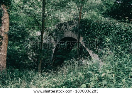 Similar – Image, Stock Photo mountains of sadernes on a cloudy summer day in spain