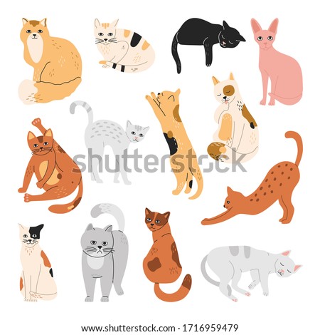 Set of happy cats, stickers of funny playing pets, sleeping, lying, standing and washing, hand drawn vector illustration in flat cartoon style, pastel colors, isolated on white background.