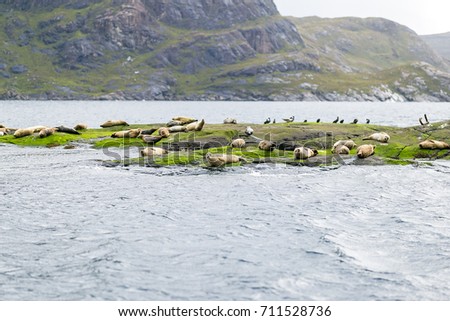 Similar – Image, Stock Photo View of Loch Coruisk II