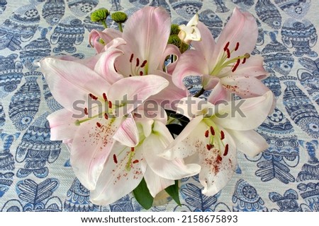Floral arrangement of five colorful lily blossoms with specs of pollen on light pink petals. Reproductive parts of flower include anthers at tips of filaments and female stigma at end of style. Foto stock © 