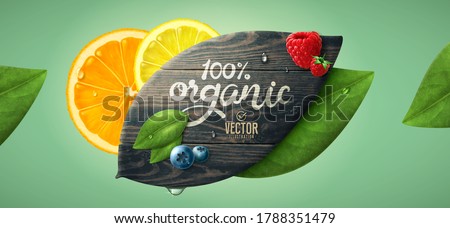 Vector realistic summer fruit template. Leaf shaped wood, leaves and fruits.